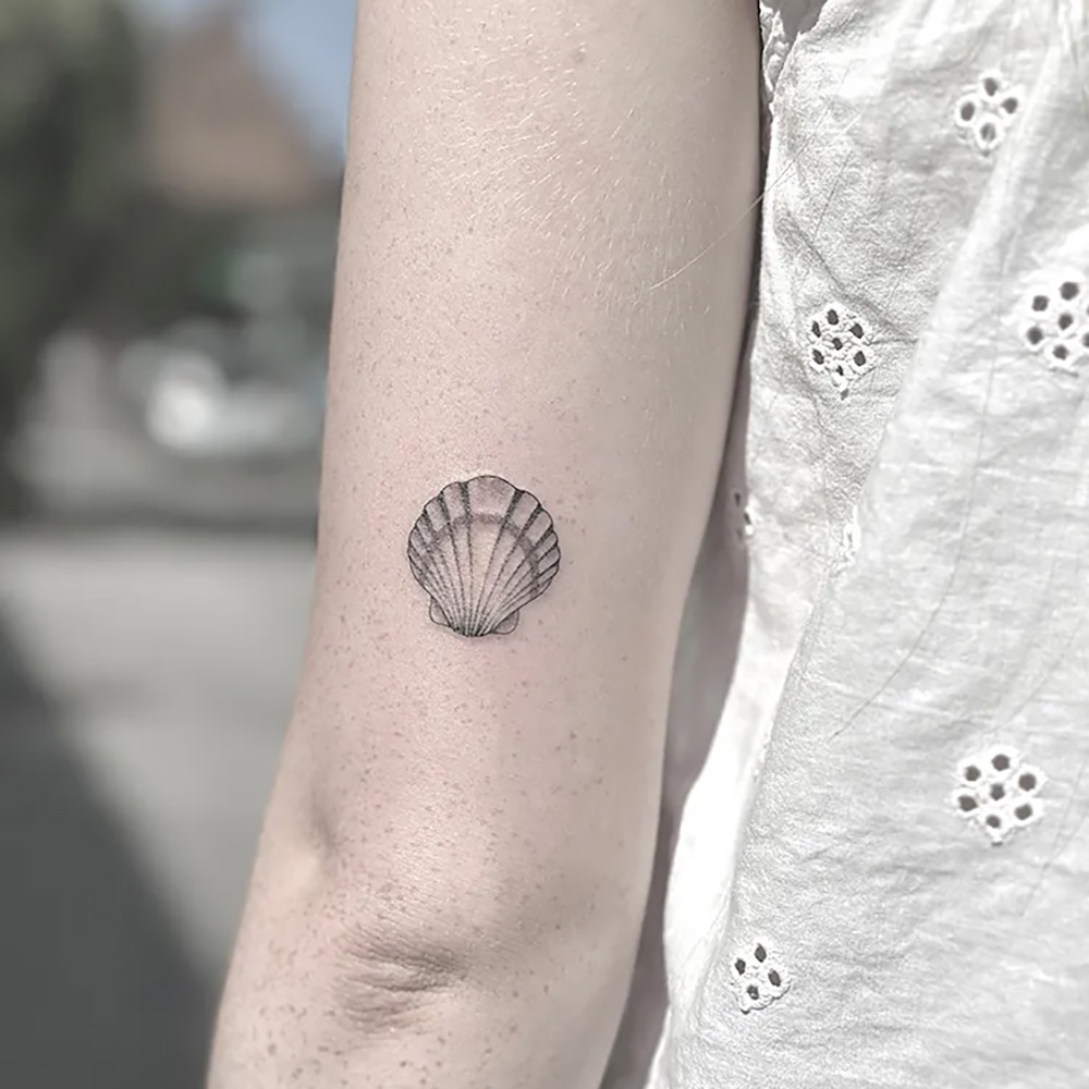 Fineline musling skal tatovering på arm