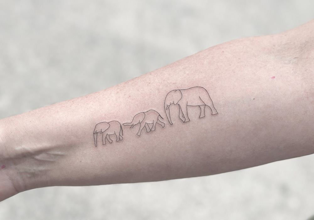 Fineline tatoveringer med elefanter