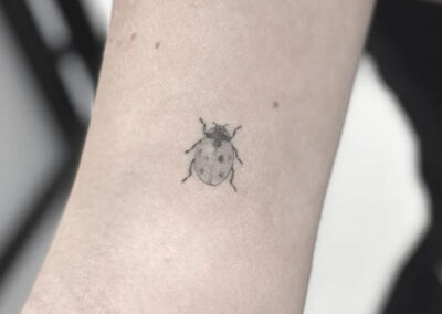 Lille fineline tatovering af mariehøne på inderarm
