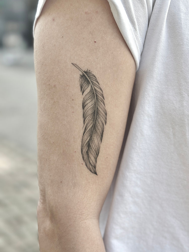 Feather tattoo with shading on the forearm