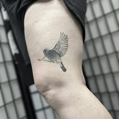 Skyggelagt tatovering af en fugl i flugt på overarm