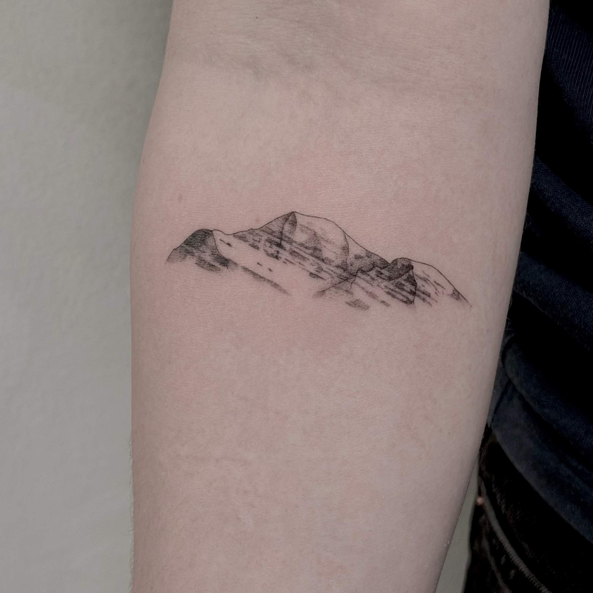 nylavet tattoo bjerg Helet fineline-tatovering af en lilje på anklen